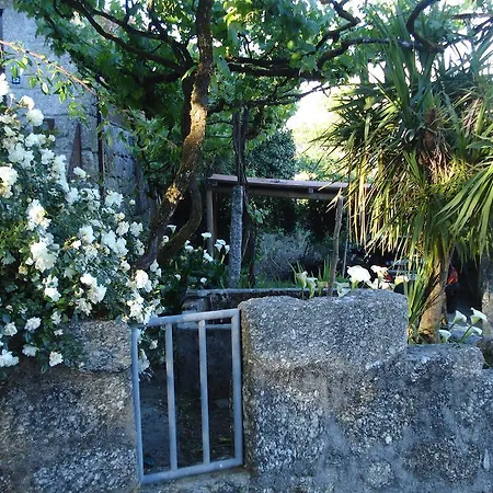 Casa Do Faroca Vieira do Minho